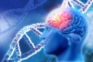 Symptoms of the Weak Nervous System
