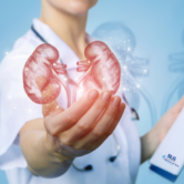 Understanding Kidney Stones-an Experts Step By Step Guide